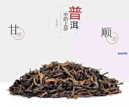 昔归熟普的口感特点-昔归熟普洱茶口感特点