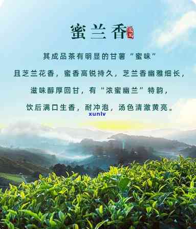 蜜兰红茶是哪里产的好，揭秘蜜兰红茶的产地，哪里的？