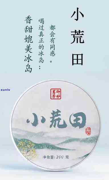 小荒田茶：详细介绍与市场价格