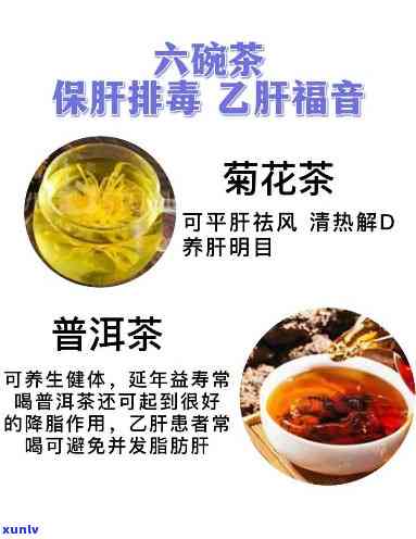 护肝茶用量，如何正确使用护肝茶？用量及饮用 *** 解析