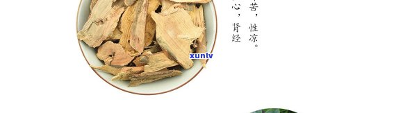 茶树根泡水喝的功效与副作用全解析