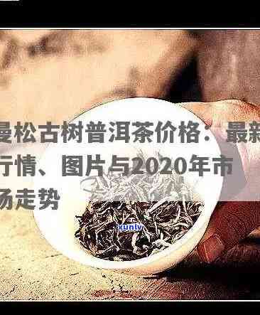 曼松古树茶多少钱，探究曼松古树茶的价格：一斤要多少钱？