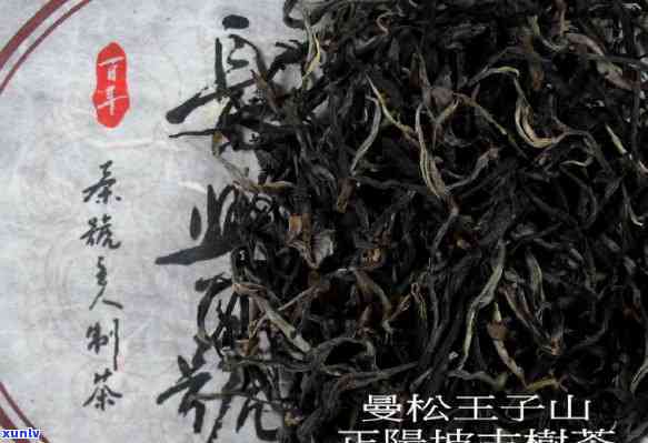 曼松古树茶：口感特点详细介绍与精美图片