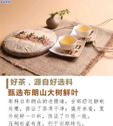 老班章木古树茶：产地、年份与品质的完美结合 - 批发促销