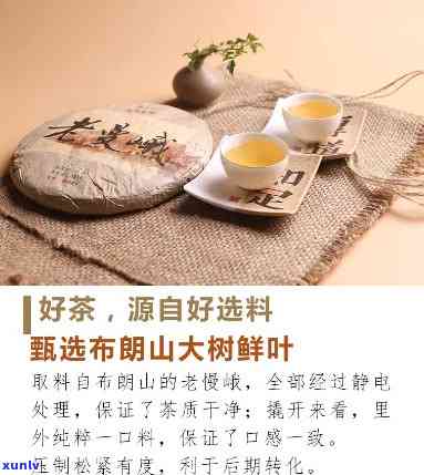 云南臻凝祥昔归价格-云南臻凝祥茶业有限