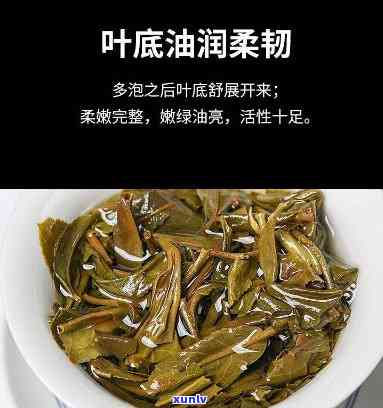 力鼎茶的作用与效果图片全集