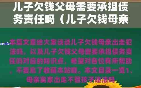 欠债母不管，母欠债不还，子女应怎样应对？