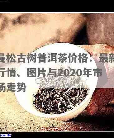 2020曼松古树茶多少一公斤，揭秘2020年曼松古树茶价格，一公斤多少钱？