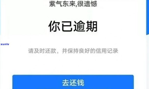 借呗花呗逾期不接  会有什么结果？