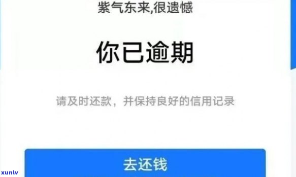 借呗花呗逾期没人联系我-借呗花呗逾期没人联系我该怎么办