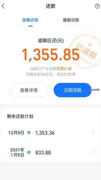 阳绿翡翠吊坠：价格、品质与选购指南，全面了解您的理想之选