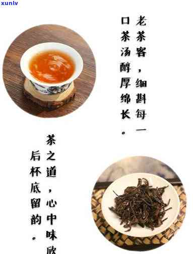 桐木关红茶哪个牌子好，精选推荐：探究桐木关红茶的品质之选，哪个牌子更胜一筹？