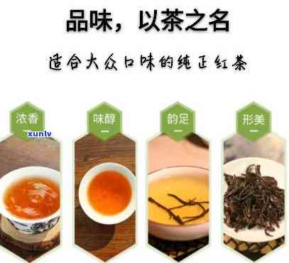 桐木关红茶哪个牌子好，精选推荐：探究桐木关红茶的品质之选，哪个牌子更胜一筹？