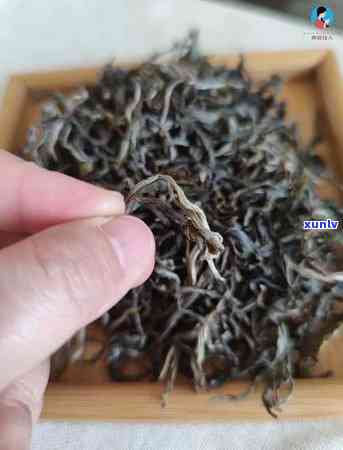 曼松茶怎样才算正品-曼松茶怎样才算正品呢