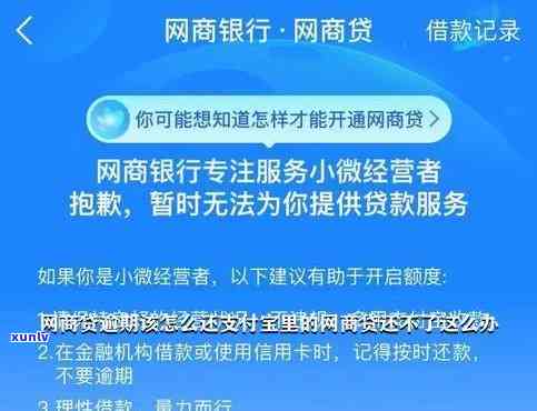 网商贷银行逾期说调查我是真的吗，网商贷逾期：银行称将实施调查，是不是真实？