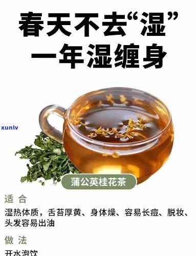 喝祛湿茶后排分泌物-喝祛湿茶后排分泌物蛋白色