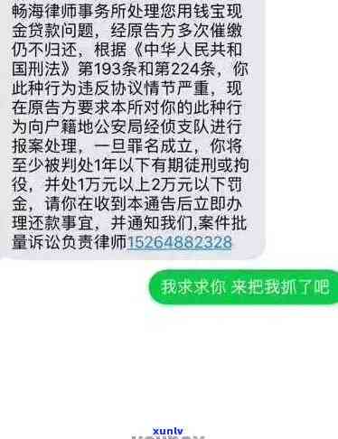 网商贷严重逾期说要起诉我什么意思，网商贷逾期：贷款机构要对我提起诉讼