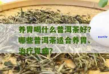 有胃病的人喝什么茶最养胃？专家推荐的选择！