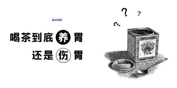 茶喝太多会不会伤胃-茶喝太多会不会伤胃呢