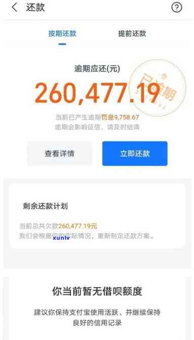 花呗逾期700多天，接到  称将调查还款能力并可能被起诉