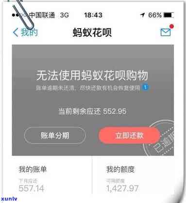 花呗逾期700多天，接到 *** 称将调查还款能力并可能被起诉