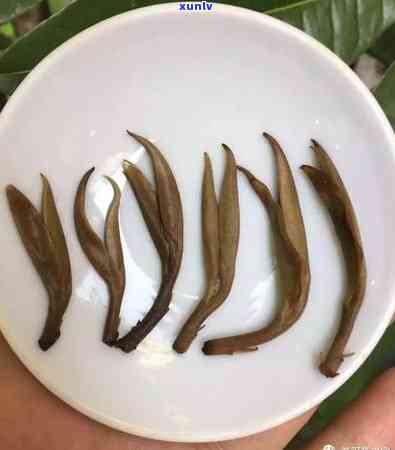 曼松茶一年的产量：多少吨？