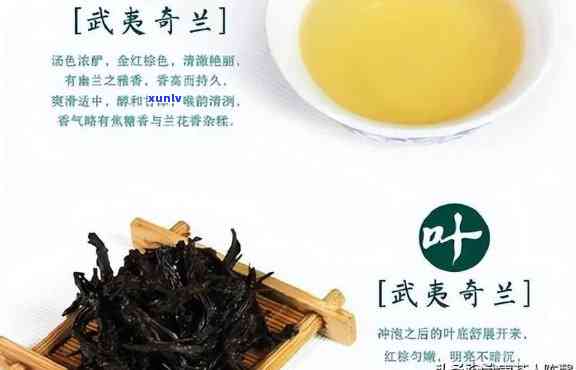 红茶奇兰有哪些功能和作用，探秘红茶奇兰：揭示其多种功能与作用