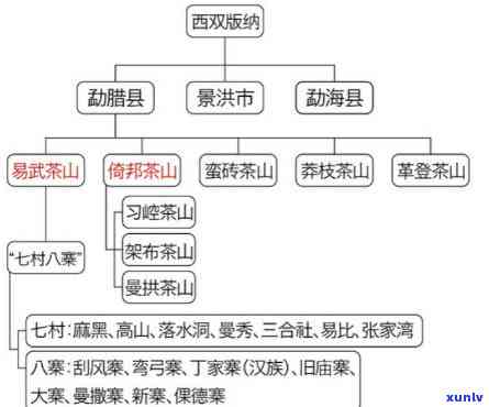 昔归古树茶山：头价与山头探秘