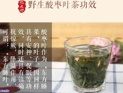 喝酸枣叶茶两肋疼痛-喝酸枣叶茶两肋疼痛怎么办