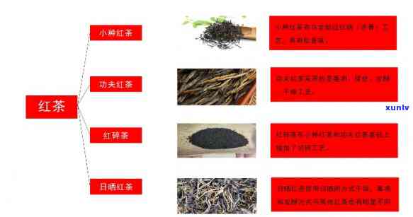 红茶功效与作用功能与主治，探究红茶的神奇功效：从作用到主治，一文了解全貌