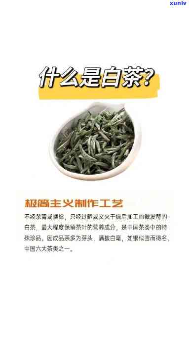 海南特产茶叶有哪些品种，探秘海南：了解当地特产茶叶的种类和品种