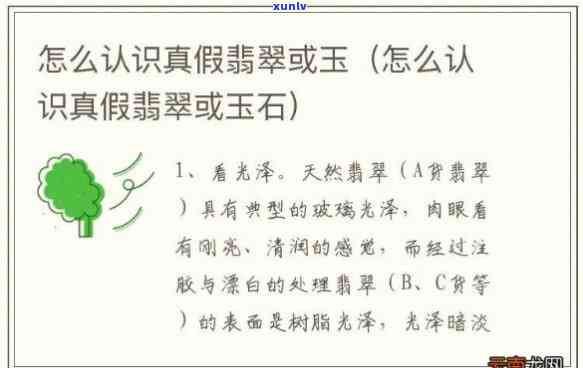 天猫翡翠真假辨别，揭秘！如何通过天猫购买到真正的翡翠？这里有你需要的辨别技巧！