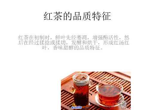 红茶品质的共同特点有，探究红茶的共同品质特点