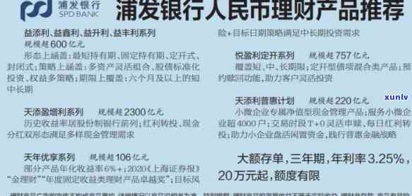 浦发银行停息挂账所需材料：详细清单与办理流程