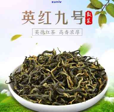 英德9号红茶怎么样，探究英德9号红茶的口感与品质