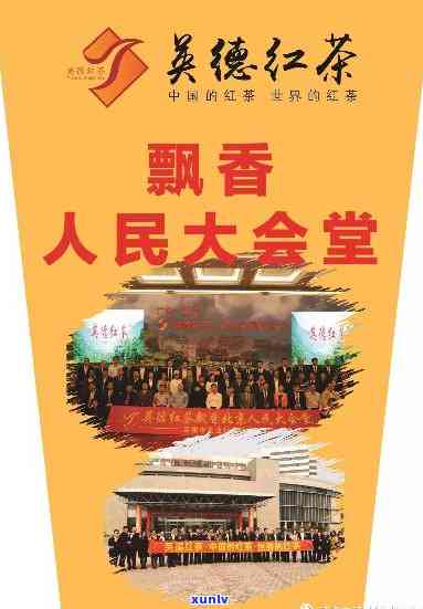 武夷山春色满园茶业价格，探索优质茶叶的魅力：武夷山春色满园茶业的价格解析