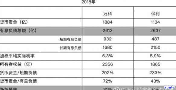 怎样有效偿还高额债务及其利息？