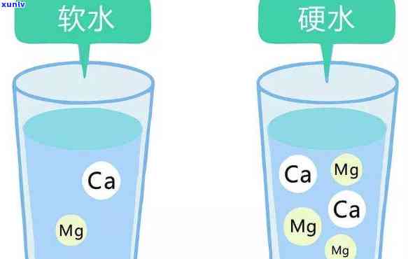 天喝冰水还是常水？探讨适宜的饮水度