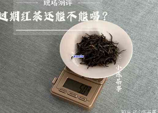  *** 上的红茶店是哪家？深度评测揭晓！