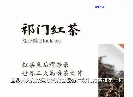 红茶知名，探寻全球知名红茶，品味不一样的茶香世界