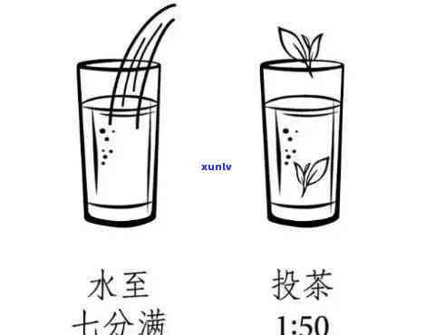 一天喝多少茶最合适画画？专家解析适宜饮水量与频率