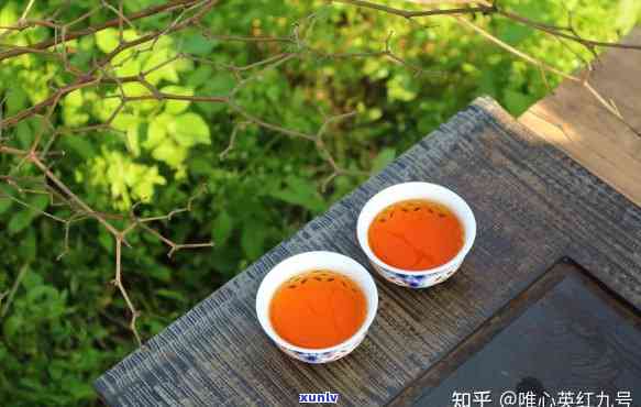 茶应该喝多少合适？科学解答每日饮茶量