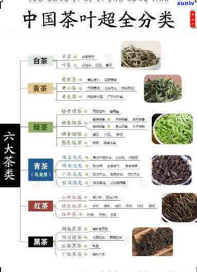 每天喝多少茶算合适？科学解析茶叶摄入量