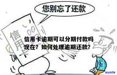 逾期信用卡分期申请攻略：怎样实施分期、还款与付款？