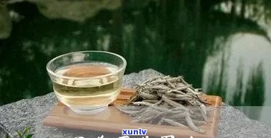 喝完茶胃酸是怎么回事，喝完茶后出现胃酸症状的原因解析