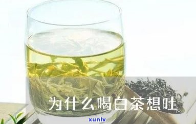 喝了茶想呕吐：原因解析