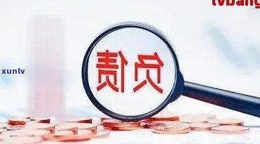 月薪5000还20万债务-月薪5000还20万债务要多久