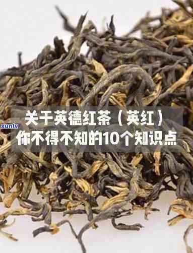 探究英德红茶的价值：排名与具体数值