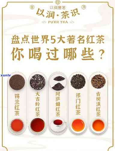 红茶排前10名揭秘：哪款才是你的更爱？