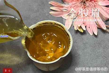 红茶菌适合生长度-红茶菌适合生长度多少度